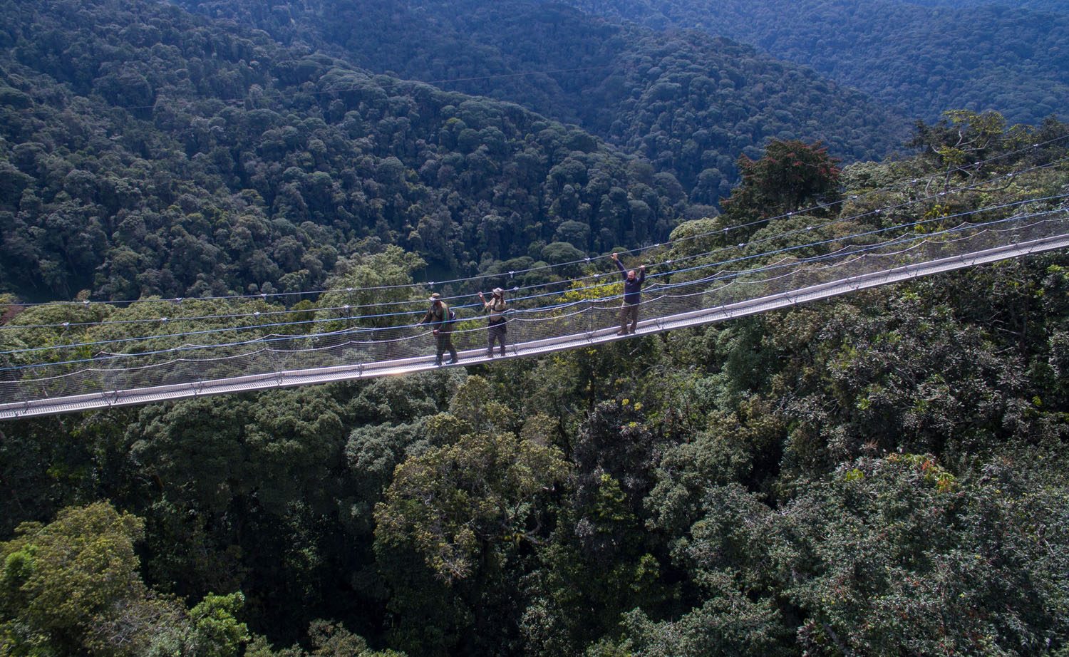 Primate & Forest Discovery